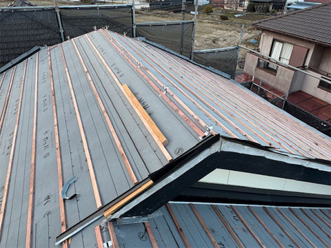 �����N���̌���