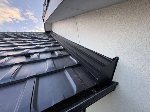 �����N���̌���