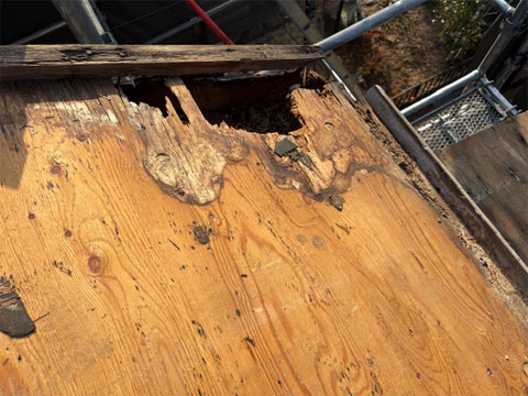 �����N���̌���