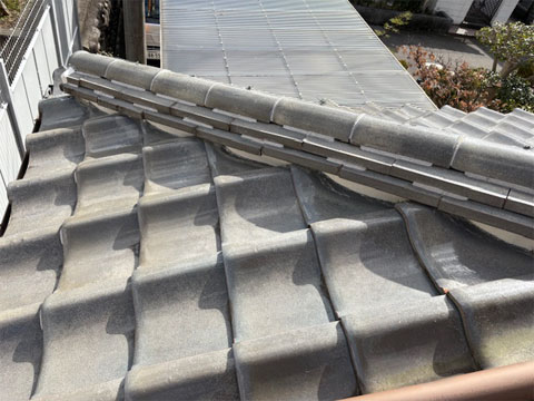 ���R�s�ł̎���H��