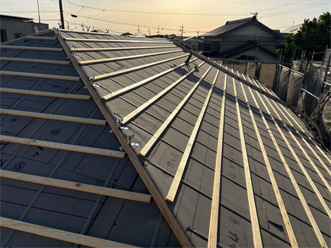 ���̐V�z����