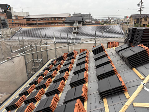 ���̐V�z����