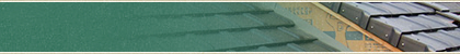 VzH